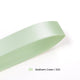  Seafoam Green | 520