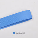  Capri Blue | 337