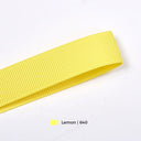  Lemon | 640