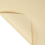 58x58cm BOPP Macaron Colors Floral Packaging Sheets | P - XXY004 | MOQ 100pcs | Laribbon Custom - laribbons